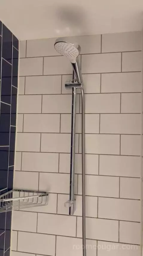 Double Room (#234) bathroom picture #4