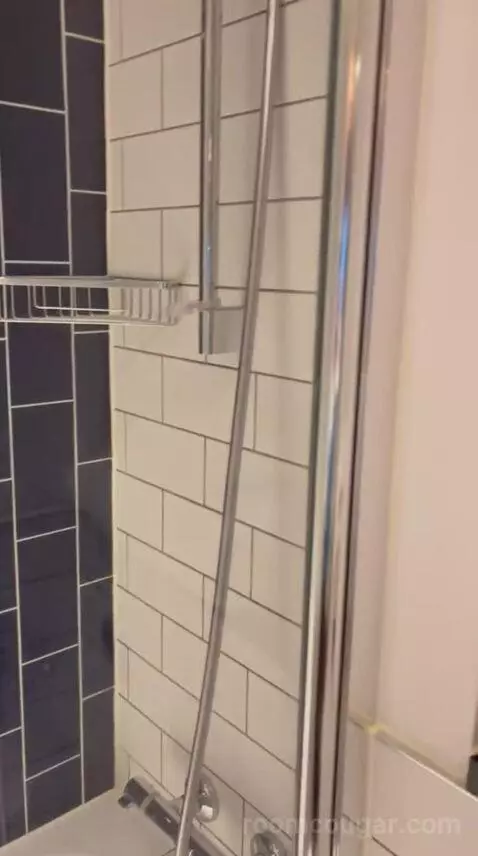 Double Room (#234) bathroom picture #8