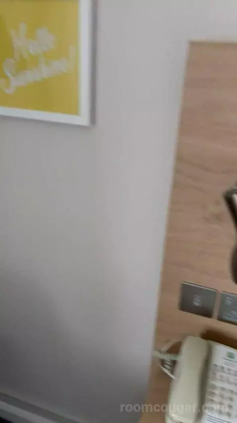 Double Room (#234) picture #8