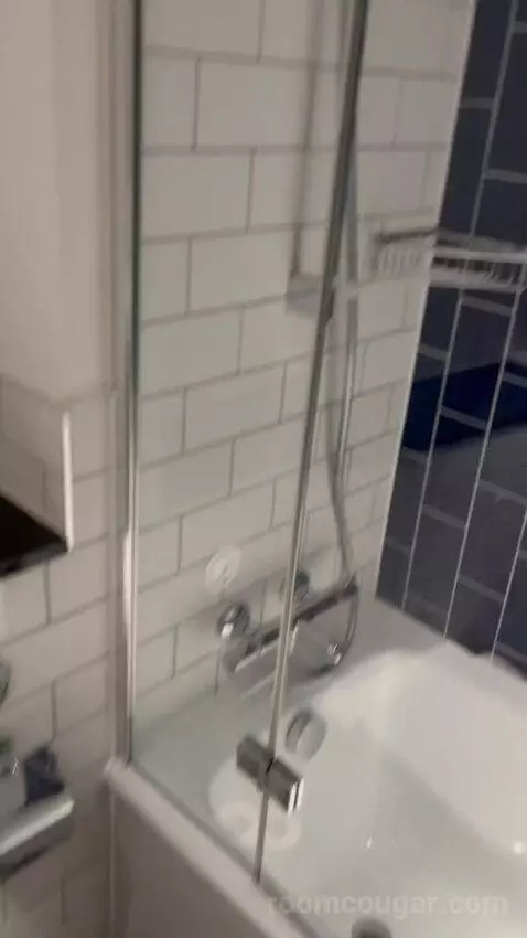 Double Room (#430) bathroom picture #4