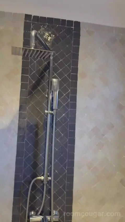 Sultane Double Room bathroom picture #4
