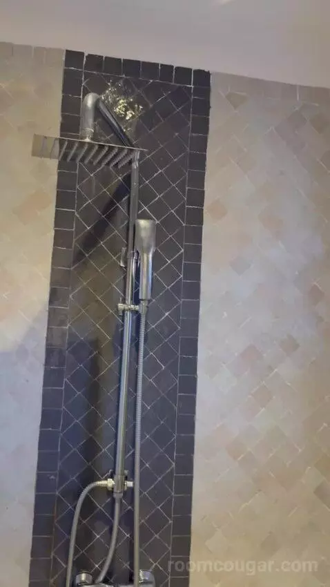 Sultane Double Room bathroom picture #5
