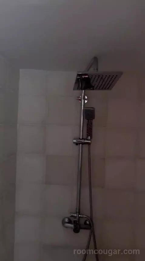 Deluxe Suite (Berber) bathroom picture #3