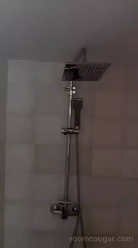 Deluxe Suite (Berber) bathroom picture #4