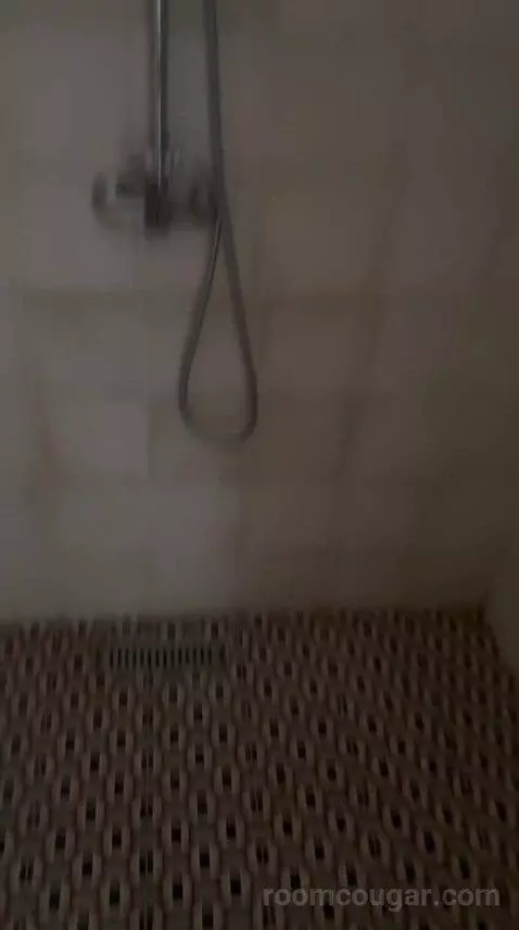 Deluxe Suite (Berber) bathroom picture #5