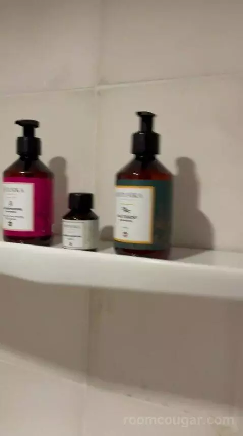 Deluxe Suite (Berber) bathroom picture #8