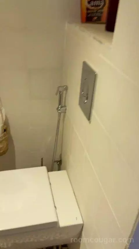 Deluxe Suite (Berber) bathroom picture #9