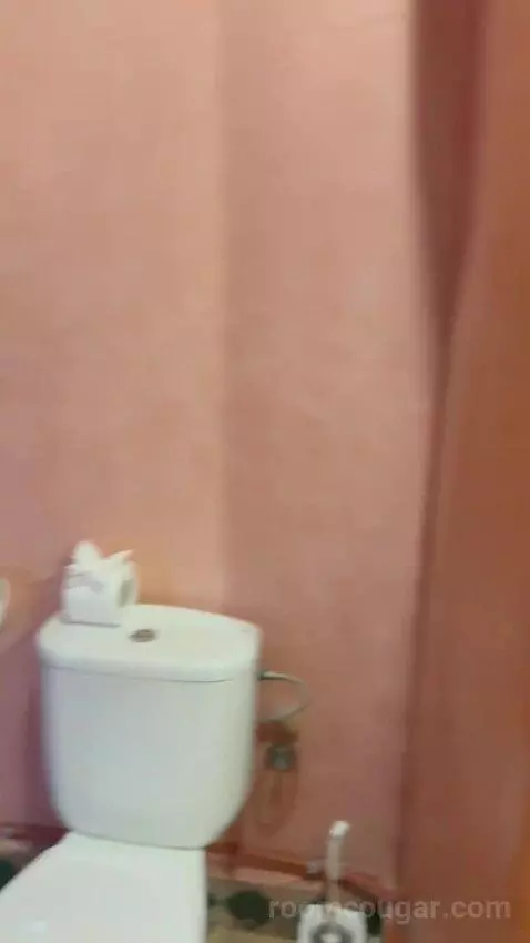 Double Room with Private Bathroom (#2) bathroom picture #8