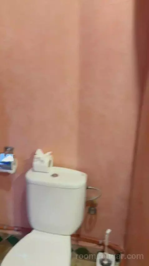 Double Room with Private Bathroom (#2) bathroom picture #9