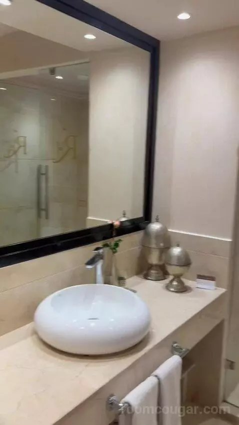 Junior Suite (#250) bathroom picture #1