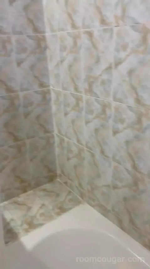 Standard Twin Room (#250) bathroom picture #6