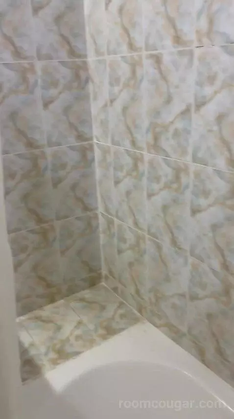 Standard Twin Room (#250) bathroom picture #7