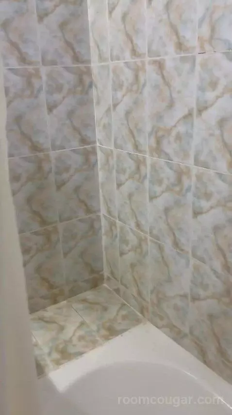 Standard Twin Room (#250) bathroom picture #8