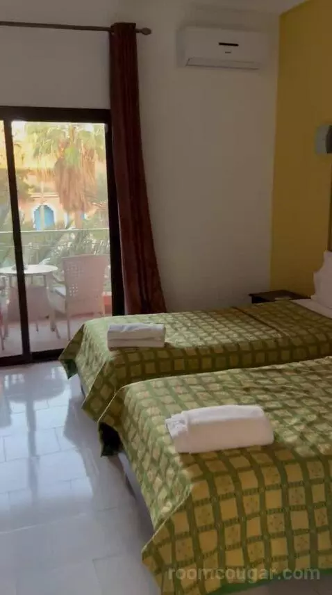 Standard Twin Room (#250) view picture #4