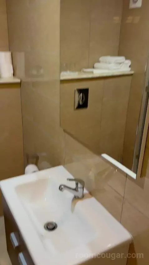 Standard Triple Room (#214) bathroom picture #2