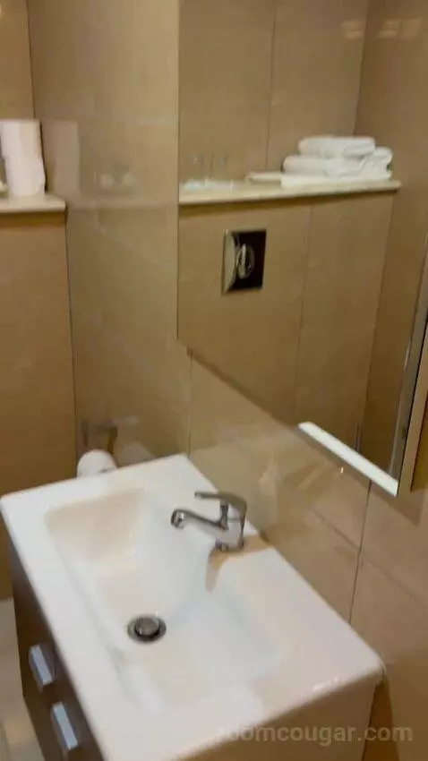 Standard Triple Room (#214) bathroom picture #3