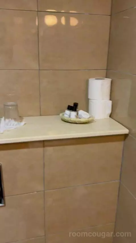 Standard Triple Room (#214) bathroom picture #6