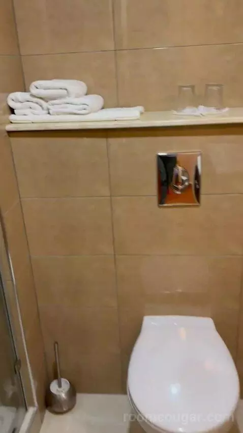 Standard Triple Room (#214) bathroom picture #10