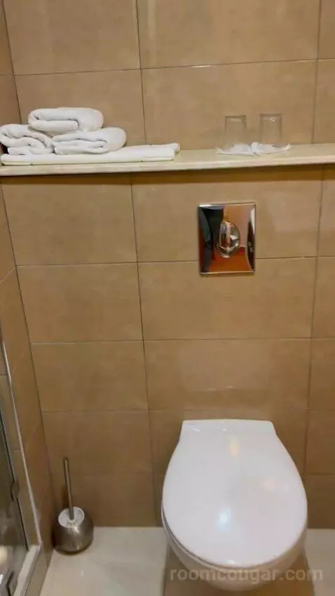 Standard Triple Room (#214) bathroom picture #11