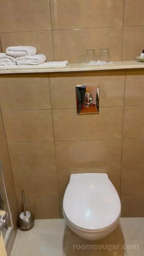 Standard Triple Room (#214) bathroom picture #12