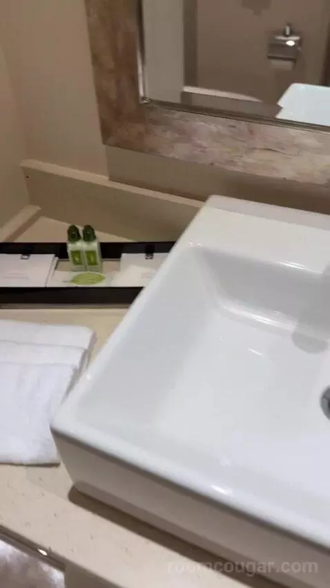 Superior Family Room with Two Queen Beds (#305) bathroom picture #8