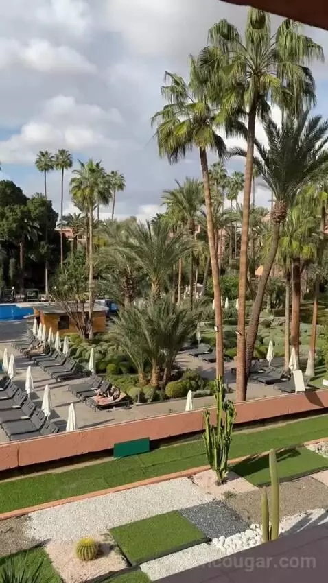 Superior Double or Twin Room with Pool View (#3104) view picture #7