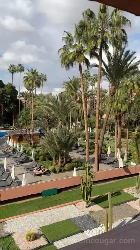 Superior Double or Twin Room with Pool View (#3104) view picture #8