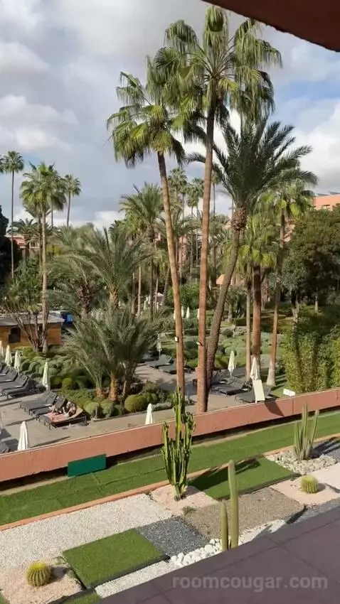 Superior Double or Twin Room with Pool View (#3104) view picture #10