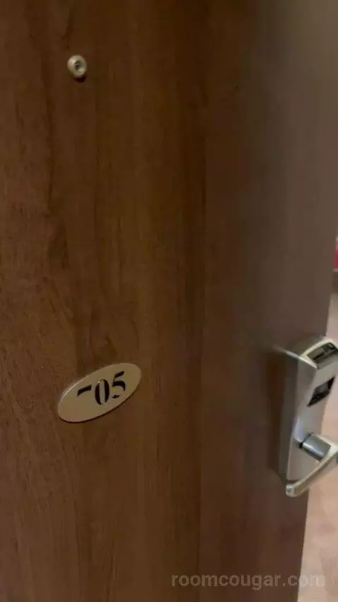 Superior Room - Room Only Non - Refundable (#704) picture #1