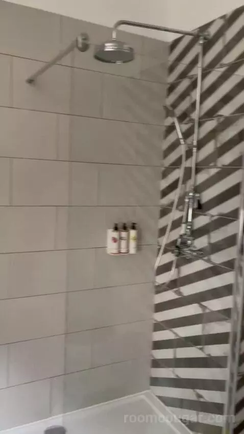 Single Room with Bathroom (#1) bathroom picture #1