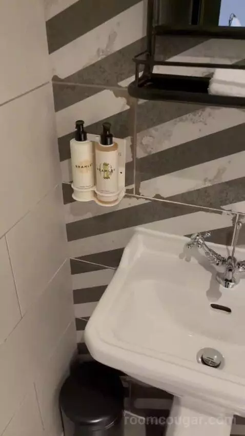 Deluxe Double or Twin Room (#4) bathroom picture #3