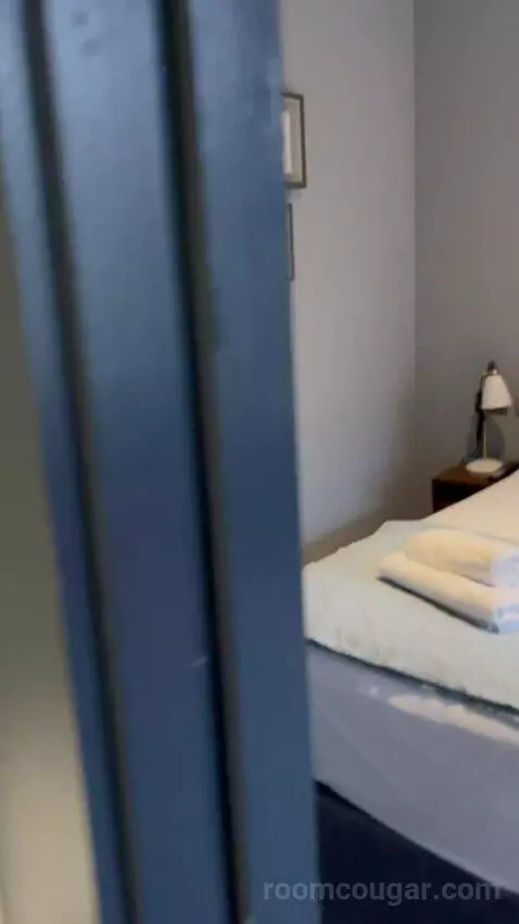 Deluxe Double or Twin Room (#4) picture #17