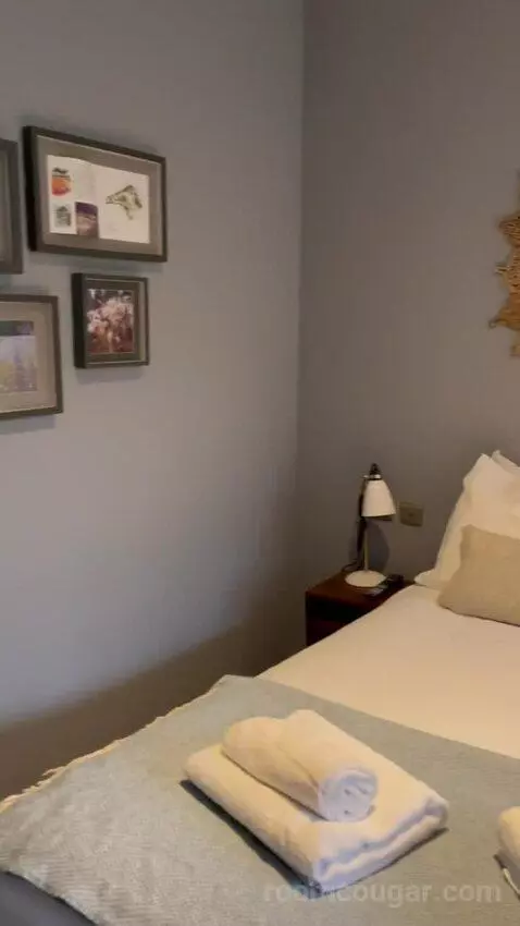 Deluxe Double or Twin Room (#4) bed picture #8