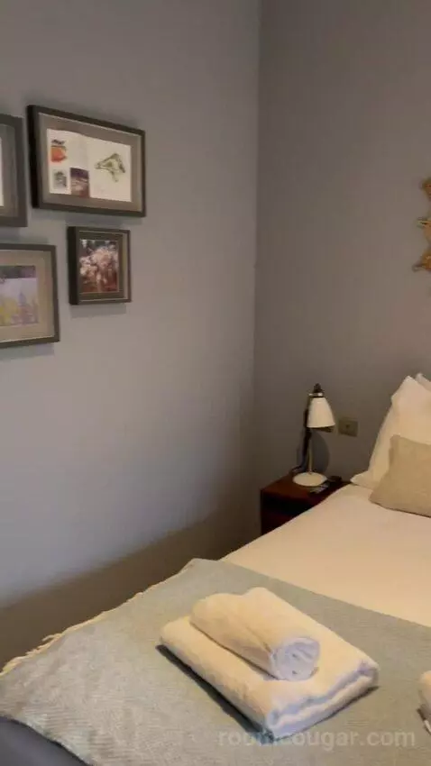 Deluxe Double or Twin Room (#4) picture #19