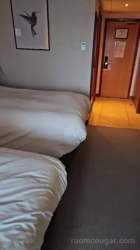 Standard Twin Room (#412) bed picture #5