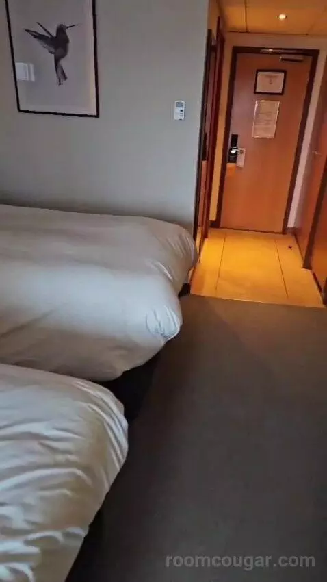 Standard Twin Room (#412) bed picture #6