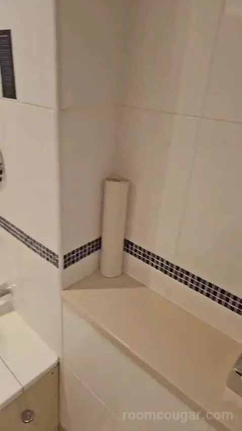 Standard Twin Room (#412) bathroom picture #4