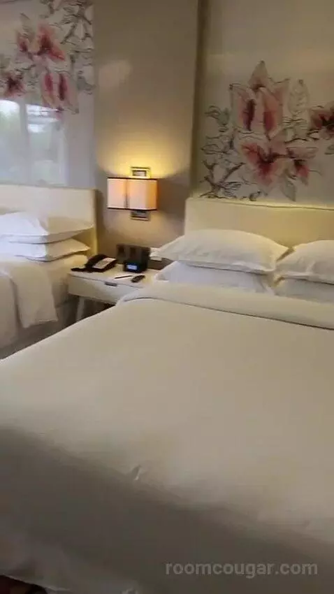 Deluxe Twin Room (#2901) bed picture #2