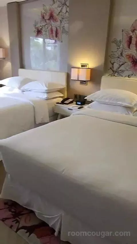 Deluxe Twin Room (#2901) bed picture #12