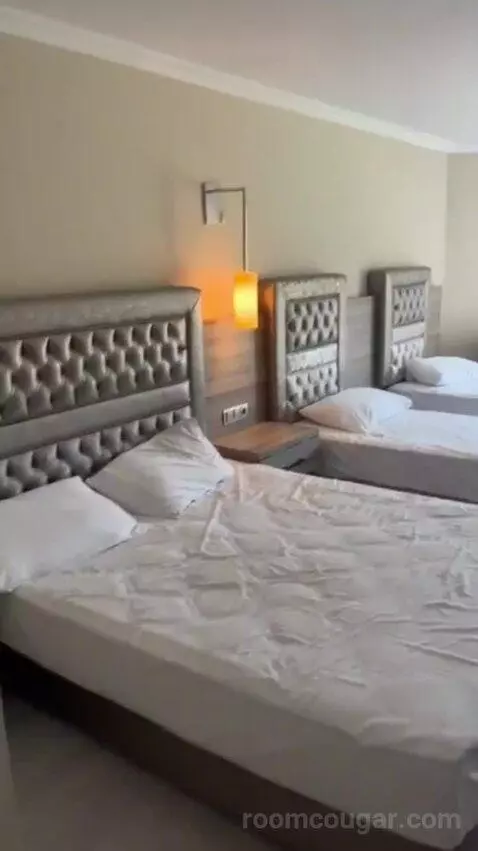 Standard (#7001) bed picture #7