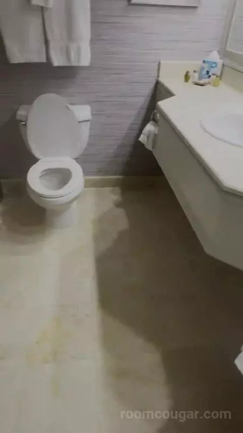 Petite Suite (#6100) picture #14