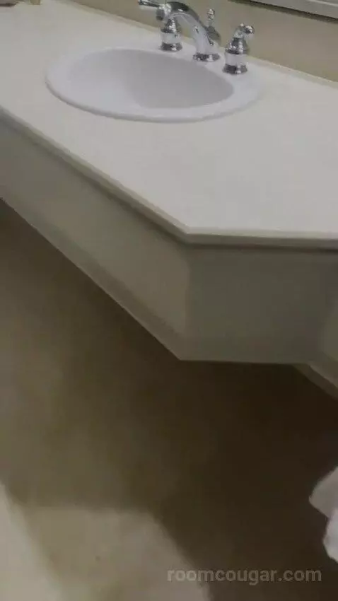 Petite Suite (#6100) picture #16