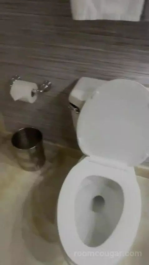 Petite Suite (#6100) picture #18