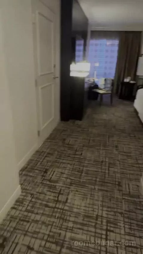 Petite Suite (#6100) picture #3