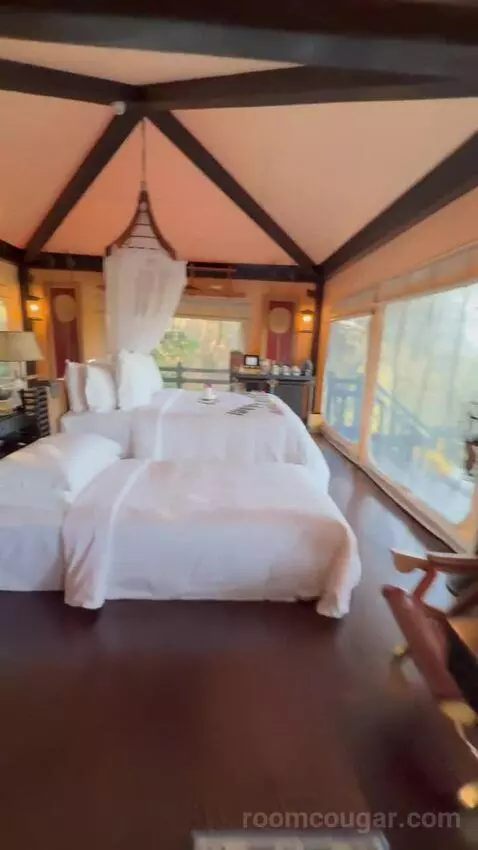 Standard (Tent 5) bed picture #2