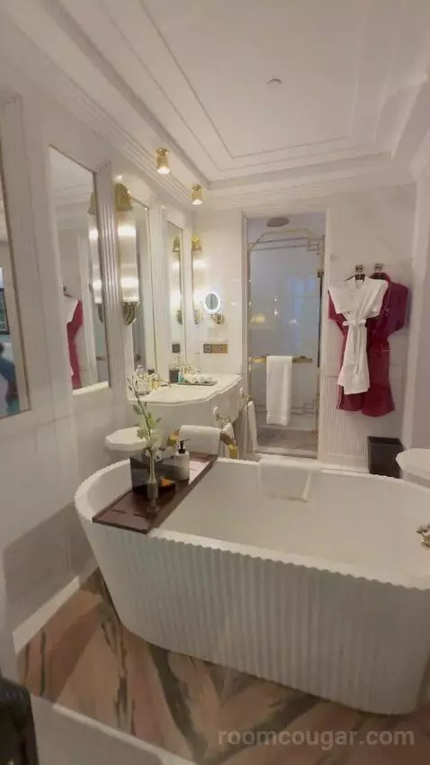 Deluxe Suite (#310) bathroom picture #3