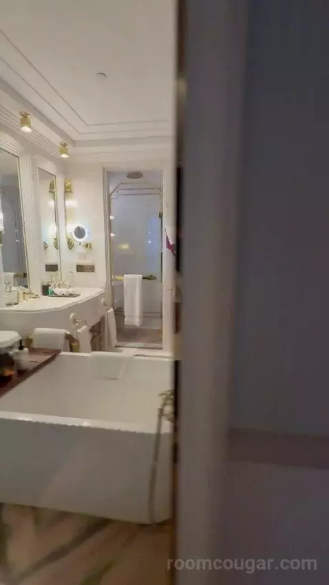 Deluxe Suite (#310) bathroom picture #5