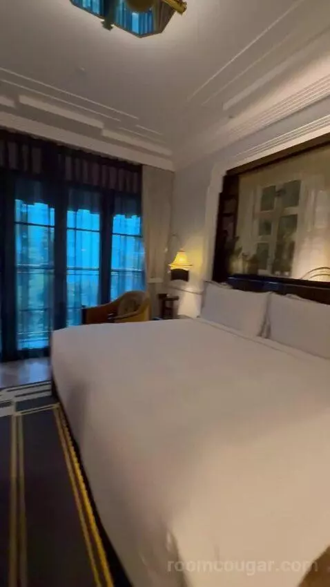 Deluxe Suite (#310) view picture #4