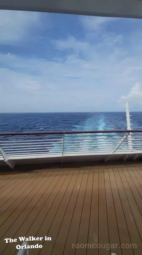 Balcony Cabin (#7694) view picture #5