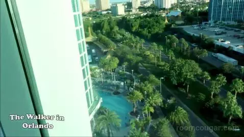 Deluxe King Room (Includes Early Park Admission*) (#957) view picture #12